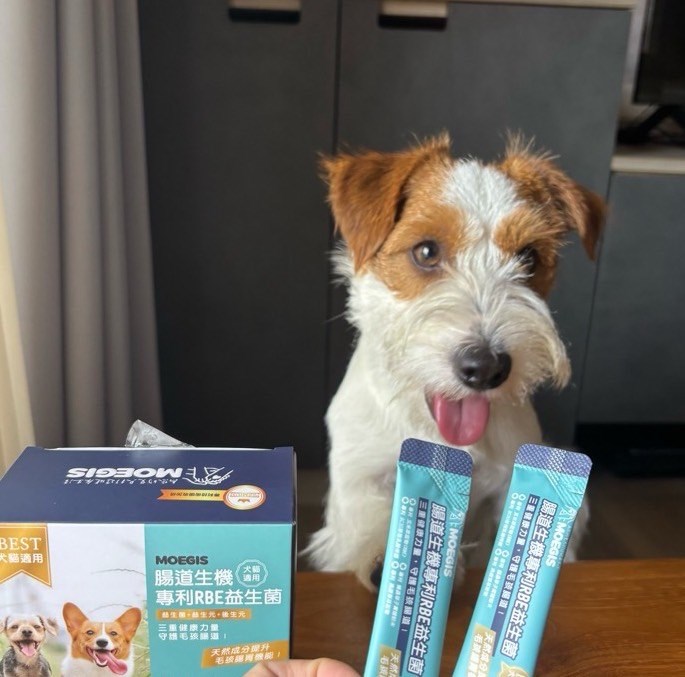 女人知己試用大隊,口碑行銷,部落客行銷,Moegis萌吉 腸道生機專利RBE益生菌,寵物益生菌,專利RBE益生元,專利蔬果酵素,小分子胜肽,藍藻粉,維持免疫力,幫助維持消化道機能,維持正常食慾,改變細菌叢生態,腸胃保健,犬貓適用